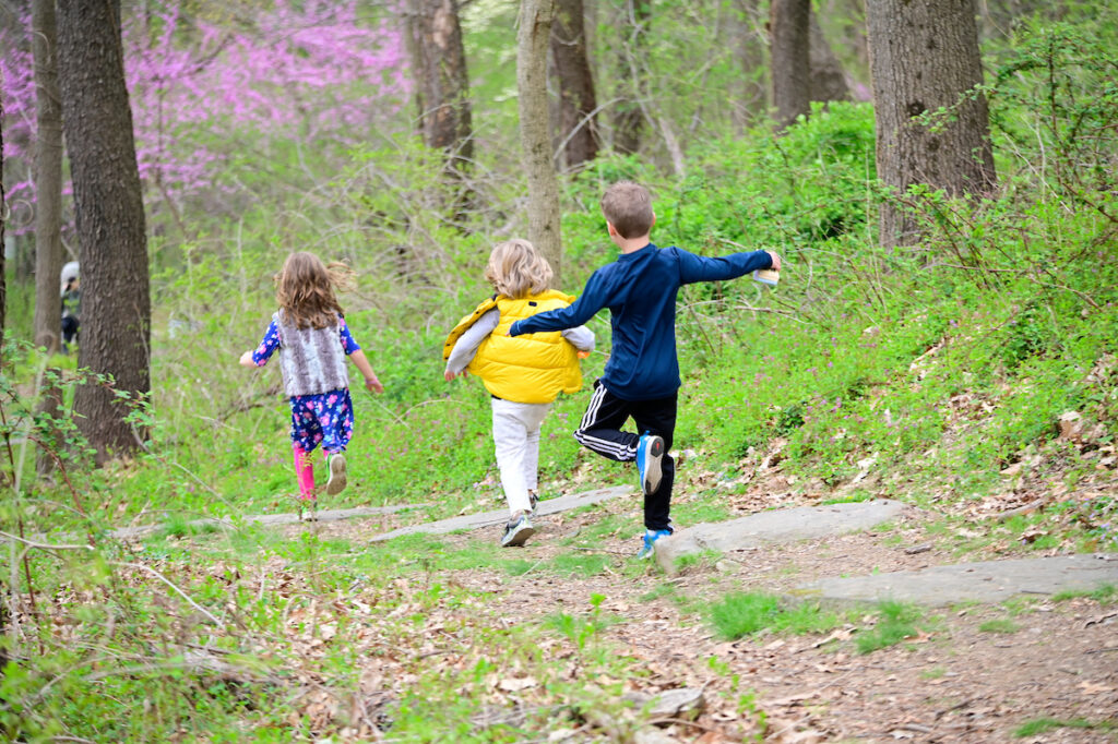 Three children run down a path in a springtime forest.