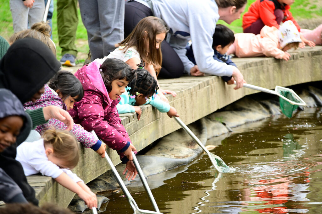 A group of children lean over with nets toward a pond during Naturepalooza at the Schuylkill Center.