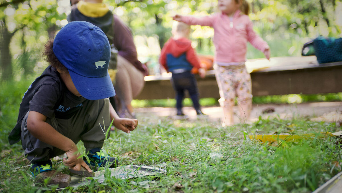 A child in a t-shirt and blue hat crouches looking at the ground while other small children play behind him in a forest.