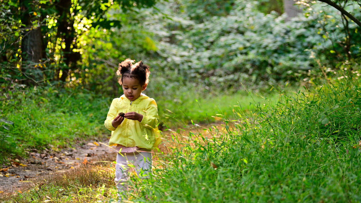 A toddler girl wearing yellow stands along a trail in a green natural setting.