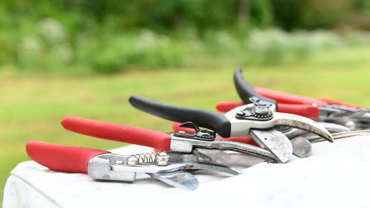 Hand tools resting on a white table in an outdoor setting.