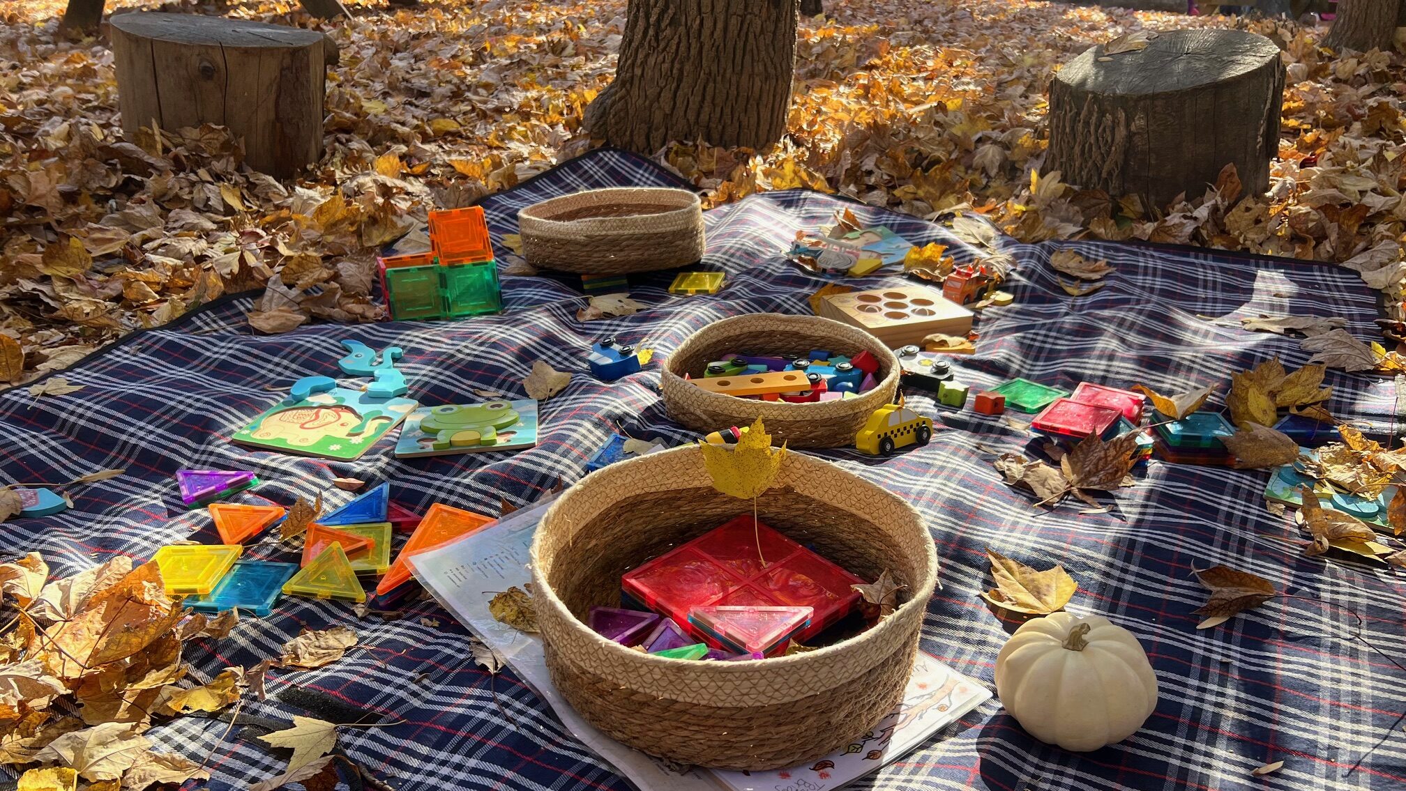 Toddler toys, books, and puzzles on a blanket in a log circle with autumn leaves all around the blanket.