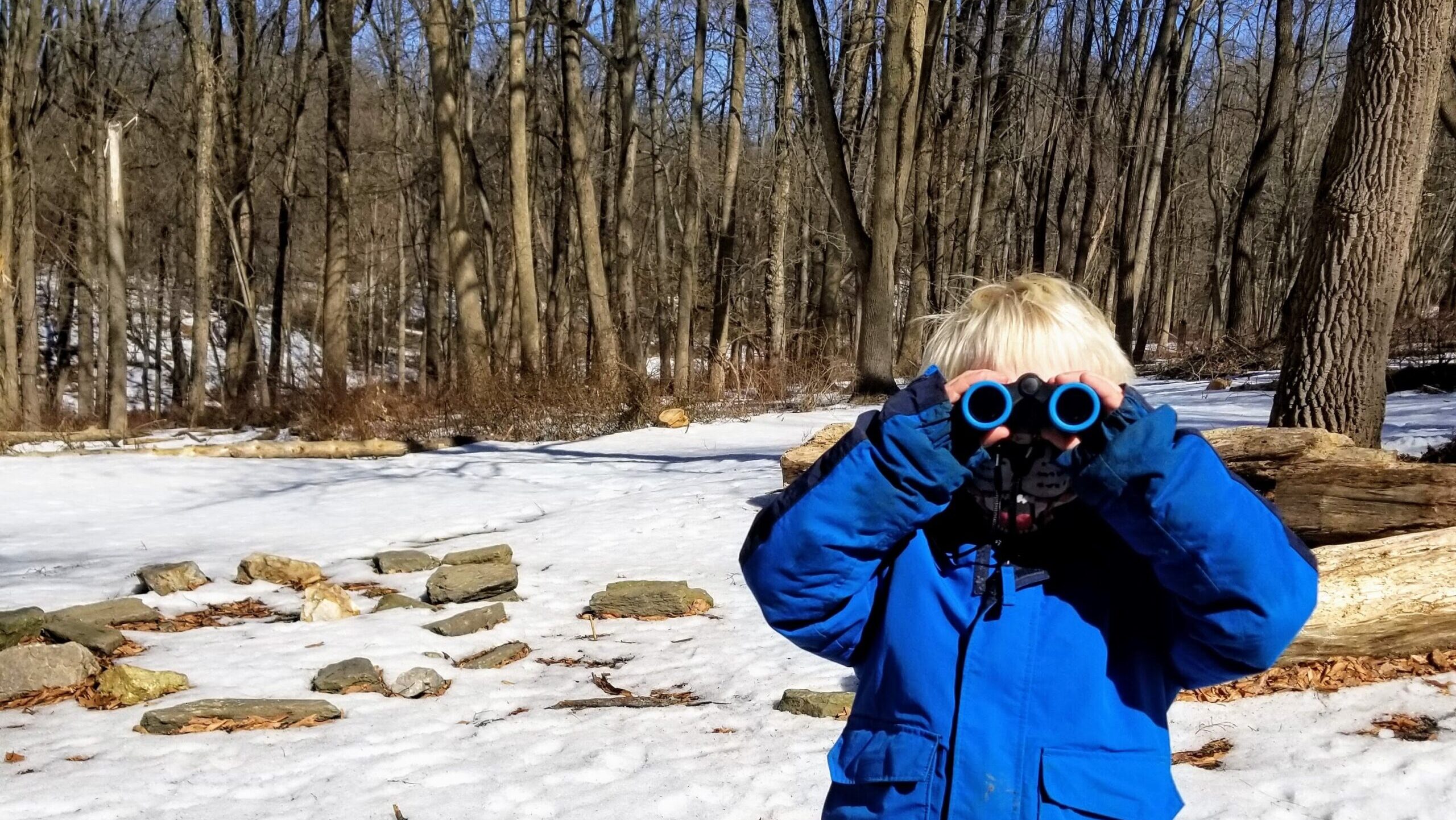 A child in a blue winter coat looks through binoculars in a snow-covered landscape.