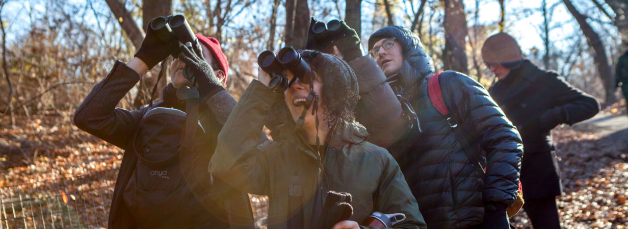 A group of birders in winter clothing look upwards in a forest.