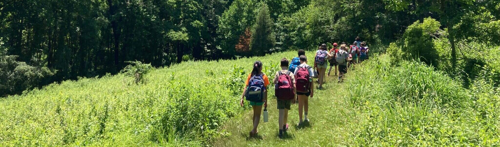 A group of children walk through a summer meadow along a trail wearing backpacks.