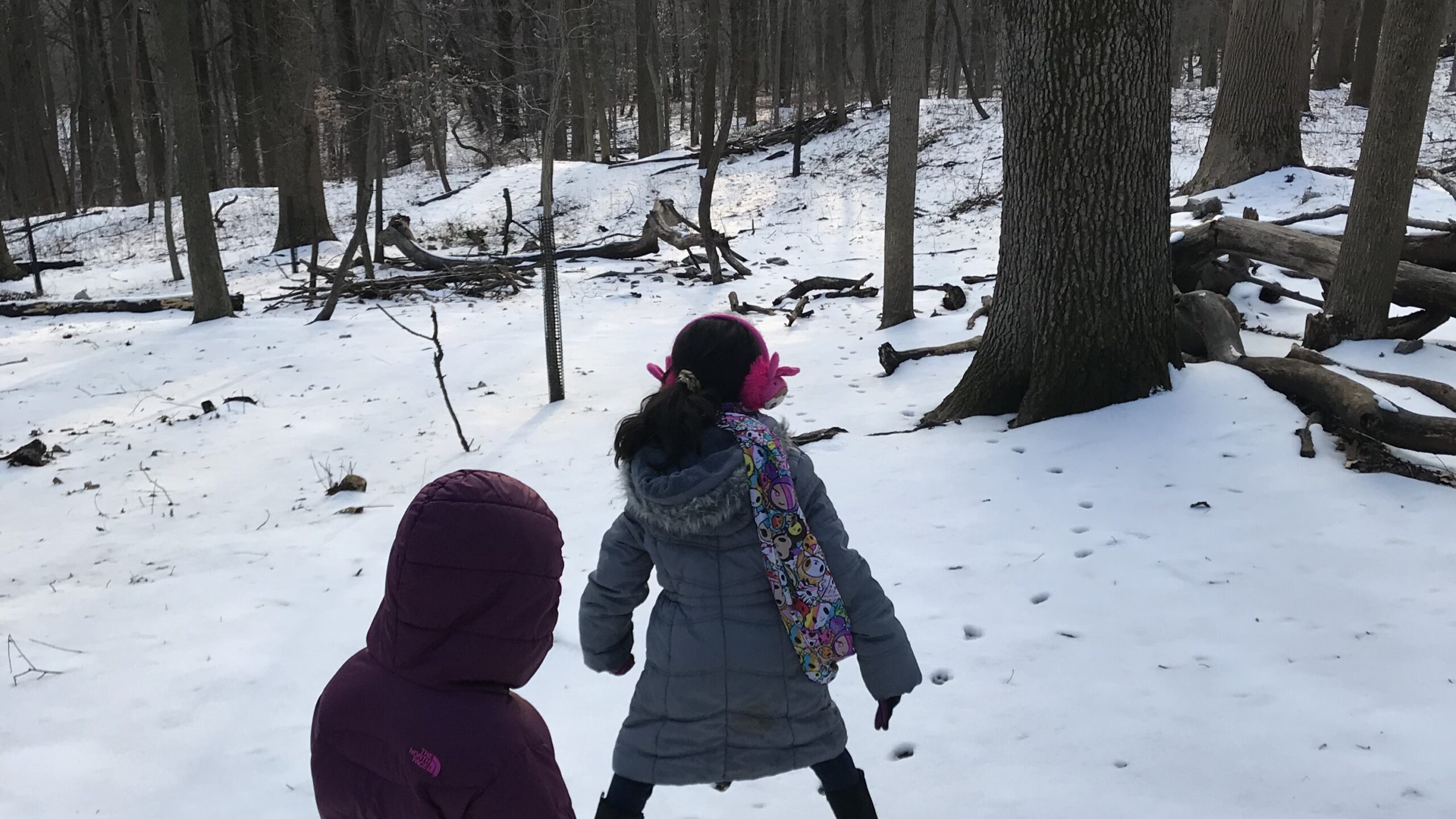 Two children in winter coats play in a snow-covered forest.