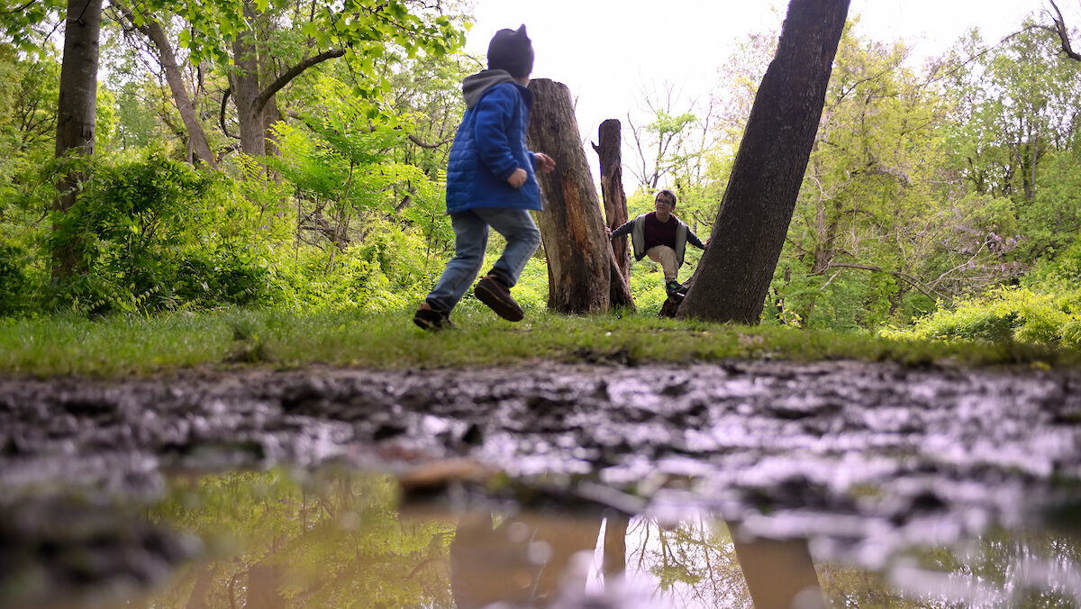 Three children play in a spring forest.