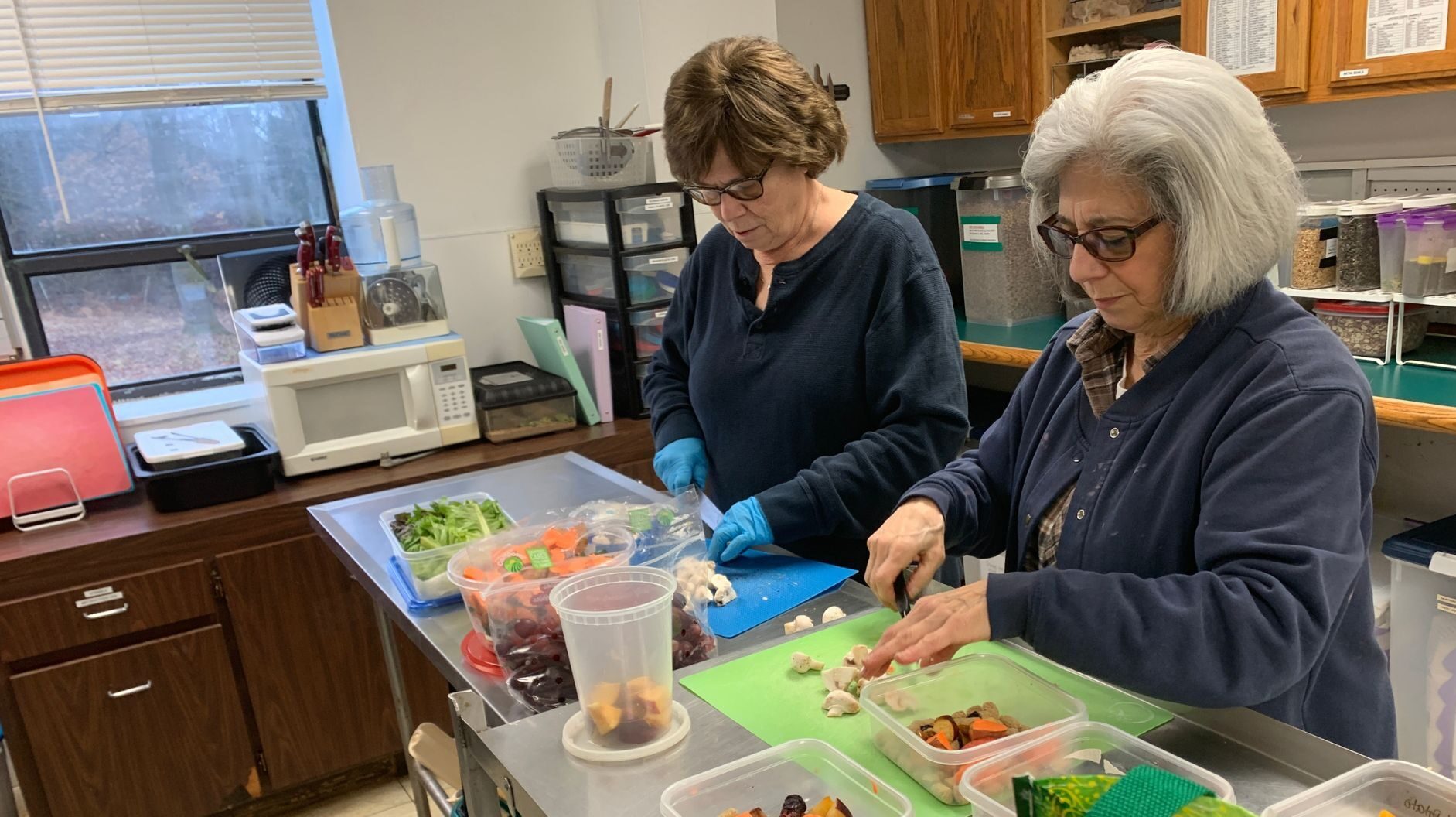 Two women cut up fruit and vegetables for animals in the kitchen of the Wildlife Clinic.