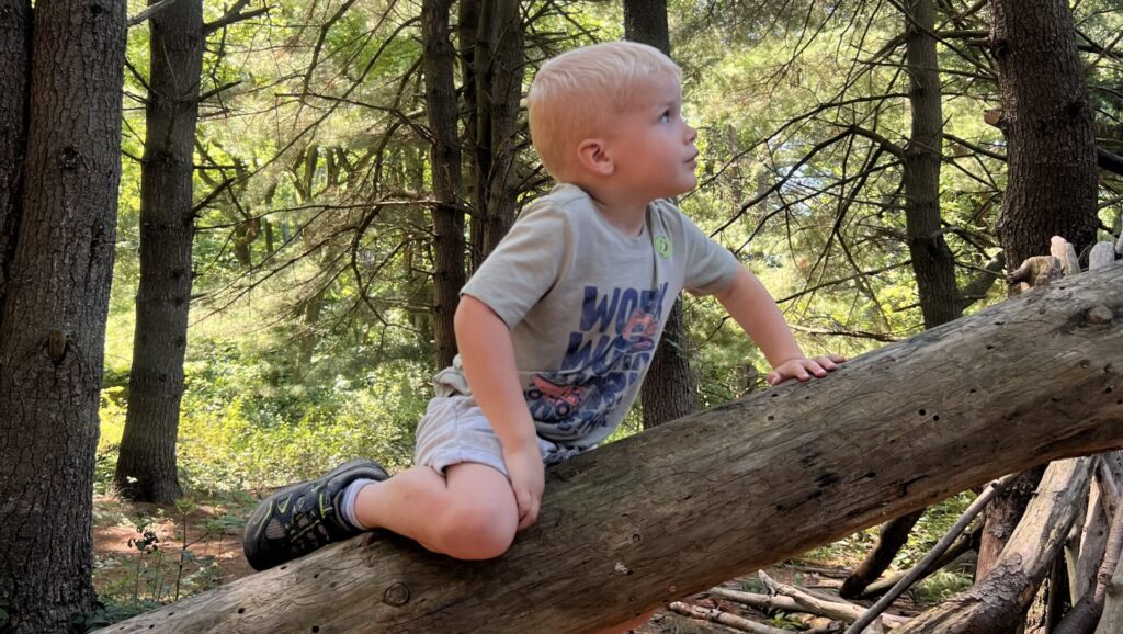 A child climbs on a log in the Pine Grove at Camp Schuylkill