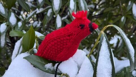 A knitted cardinal in a snow covered tree.