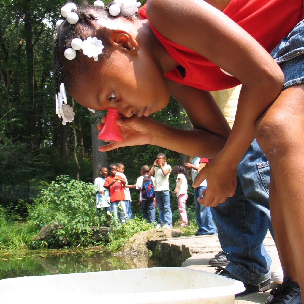 A girl bends down to look through a microscope while other children look on in the background. 