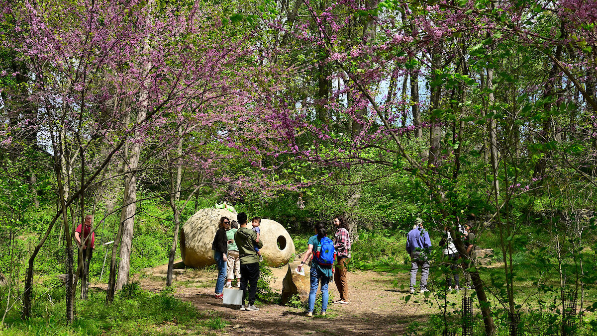 A spring forest with a few people in the Jubilee grove at the Schuylkill Center.