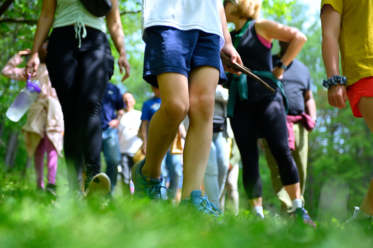 A group of people walking through green grass.