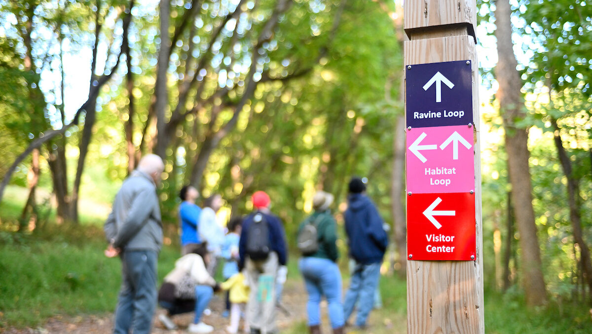 People stand on a trail in a forest. In the foreground a trail marker with blue, pink, and red signs point directions on the trail.