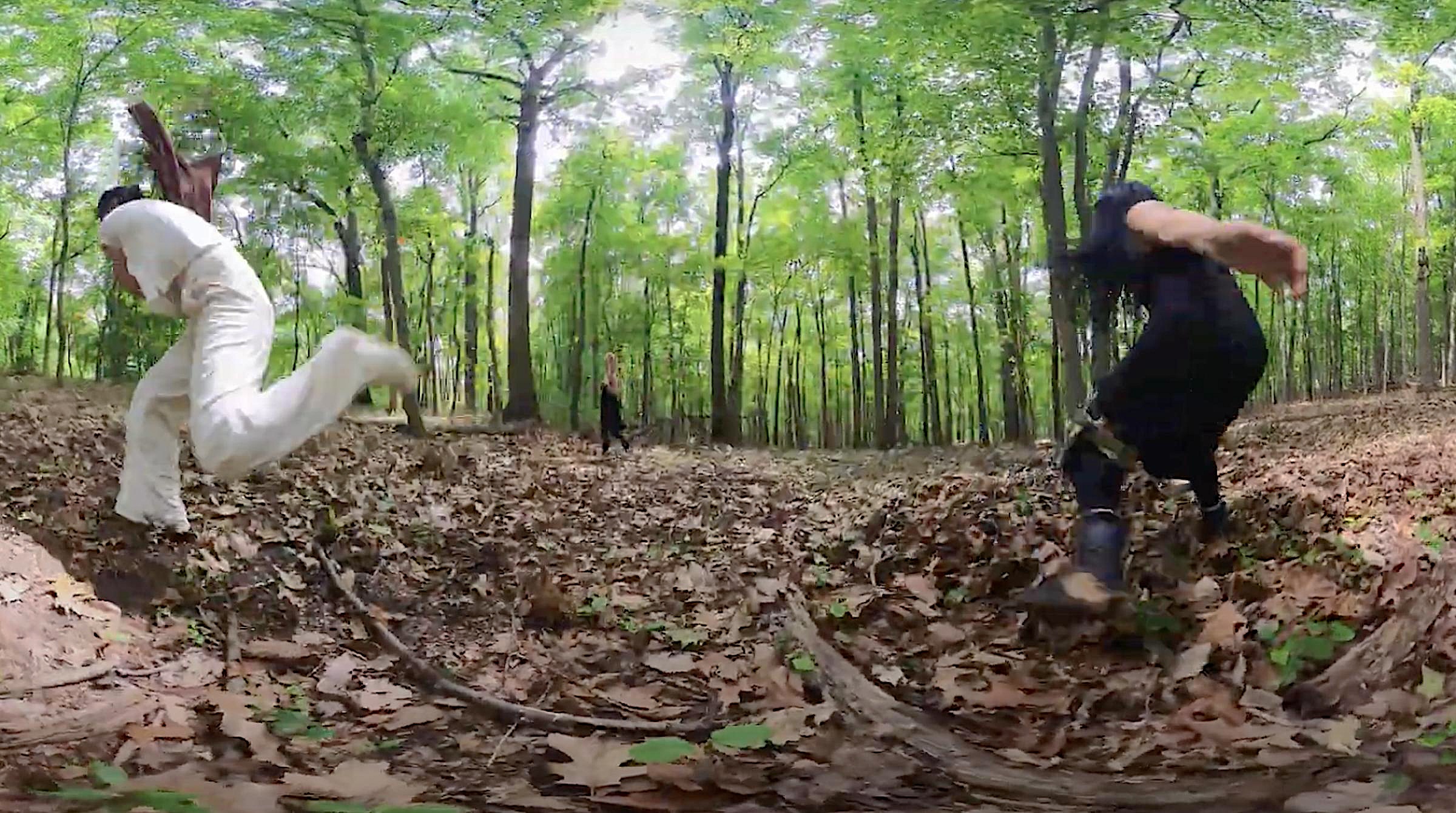 TERRA dancers in the woods at the Schuylkill Center